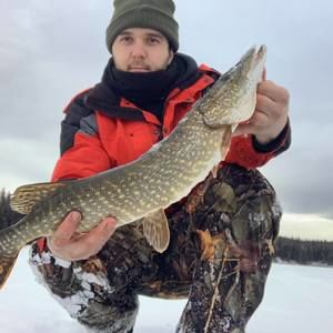 Meet your Posher, Matt